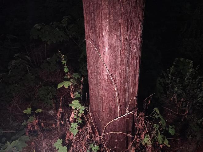 x小魔方头灯体验让你爱不释手!瓦力娱乐棋牌超轻超能!Feni(图21) x小魔方头灯体验让你爱不释手!瓦力娱乐棋牌超轻超能!Feni(图21)